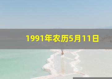 1991年农历5月11日