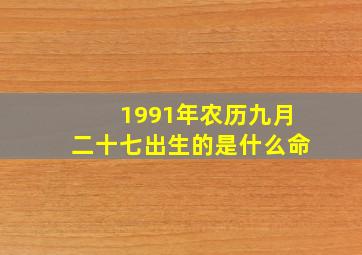 1991年农历九月二十七出生的是什么命