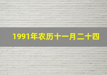 1991年农历十一月二十四