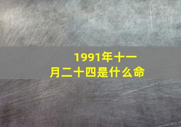 1991年十一月二十四是什么命