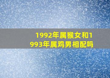 1992年属猴女和1993年属鸡男相配吗