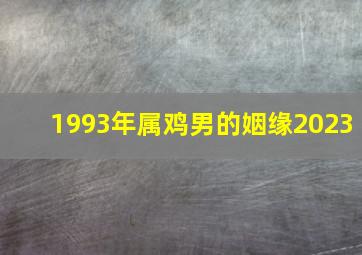 1993年属鸡男的姻缘2023