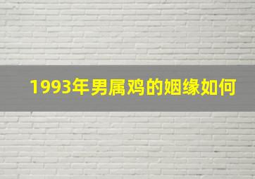 1993年男属鸡的姻缘如何