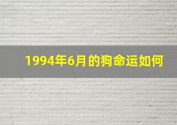 1994年6月的狗命运如何