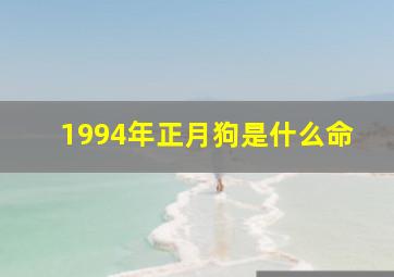 1994年正月狗是什么命