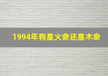 1994年狗是火命还是木命