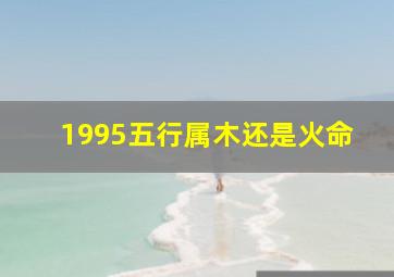 1995五行属木还是火命