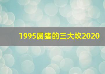 1995属猪的三大坎2020