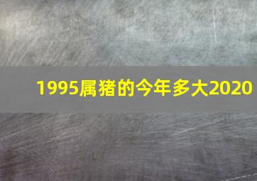 1995属猪的今年多大2020