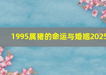 1995属猪的命运与婚姻2025