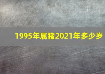 1995年属猪2021年多少岁