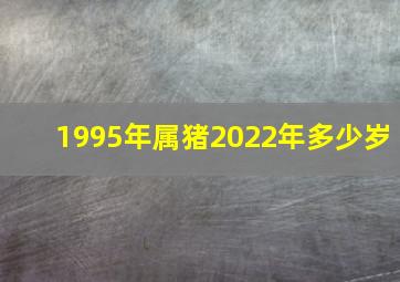 1995年属猪2022年多少岁