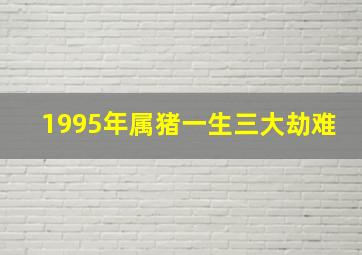 1995年属猪一生三大劫难