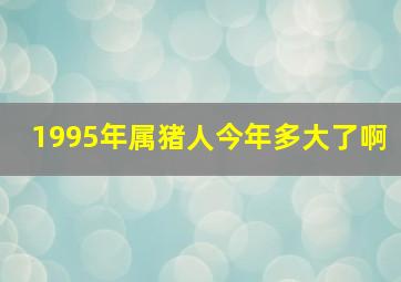 1995年属猪人今年多大了啊