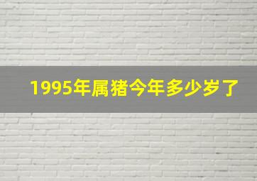 1995年属猪今年多少岁了