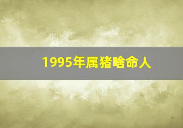 1995年属猪啥命人