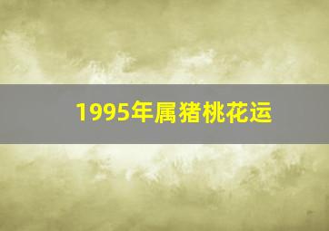 1995年属猪桃花运