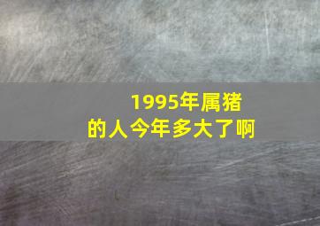 1995年属猪的人今年多大了啊