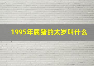 1995年属猪的太岁叫什么