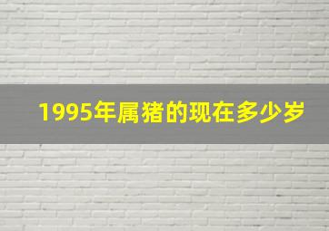 1995年属猪的现在多少岁