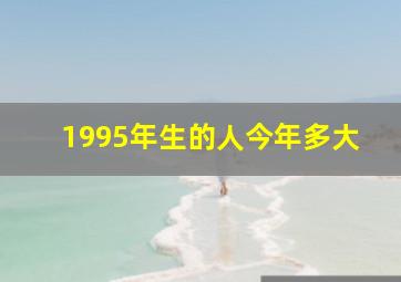 1995年生的人今年多大