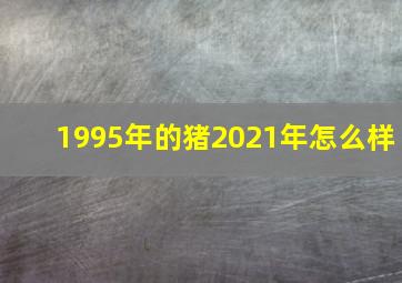 1995年的猪2021年怎么样