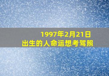 1997年2月21日出生的人命运想考驾照