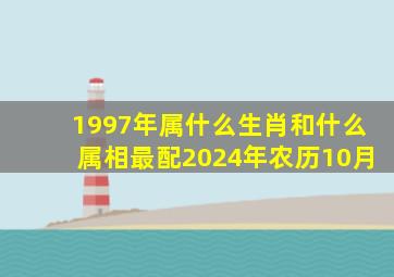 1997年属什么生肖和什么属相最配2024年农历10月