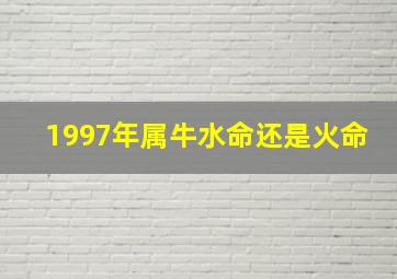 1997年属牛水命还是火命