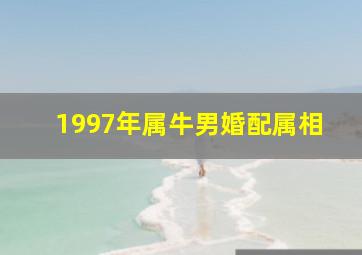 1997年属牛男婚配属相