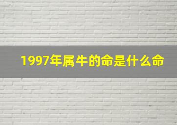 1997年属牛的命是什么命