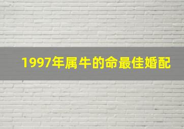 1997年属牛的命最佳婚配