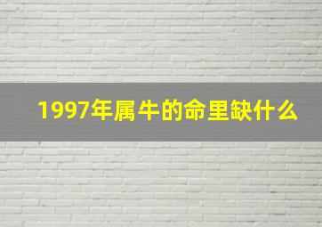 1997年属牛的命里缺什么