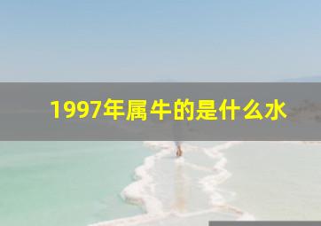 1997年属牛的是什么水