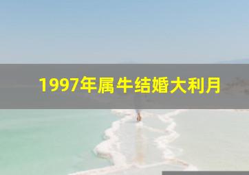 1997年属牛结婚大利月