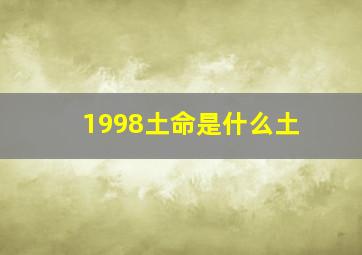 1998土命是什么土