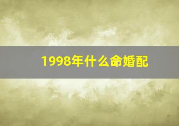 1998年什么命婚配