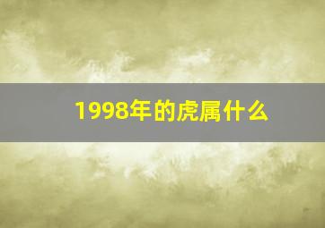 1998年的虎属什么