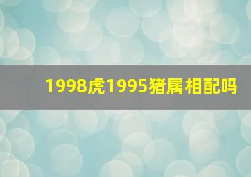 1998虎1995猪属相配吗