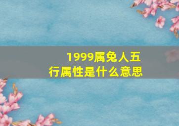 1999属兔人五行属性是什么意思