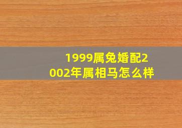 1999属兔婚配2002年属相马怎么样