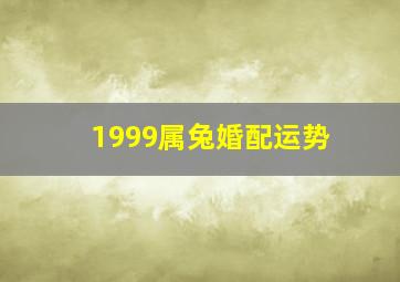 1999属兔婚配运势