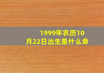 1999年农历10月22日出生是什么命