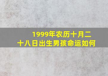 1999年农历十月二十八日出生男孩命运如何