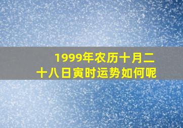 1999年农历十月二十八日寅时运势如何呢