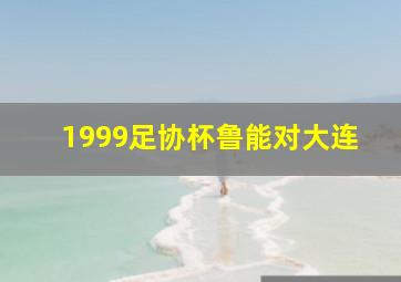 1999足协杯鲁能对大连