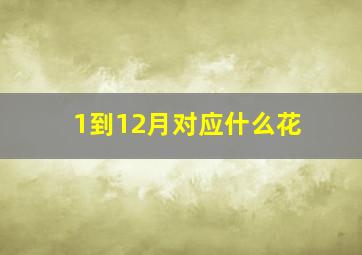 1到12月对应什么花