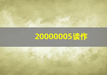 20000005读作