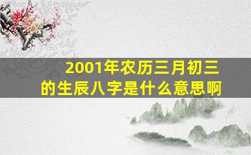 2001年农历三月初三的生辰八字是什么意思啊