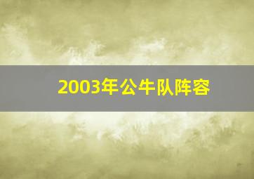 2003年公牛队阵容